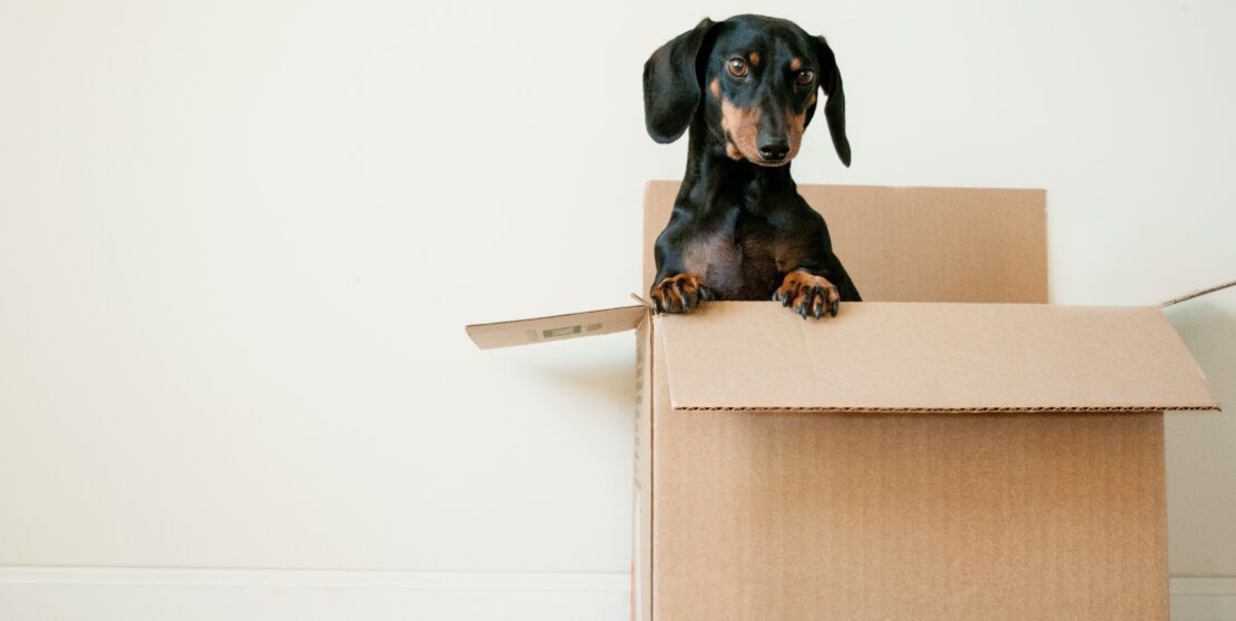 Költözöl és nincsenek dobozaid? 4 tipp, hogy honnan szerezhetsz
