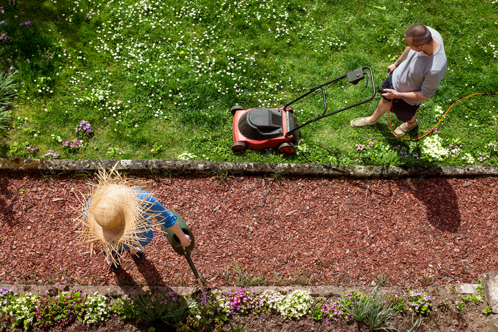 5 tipp a hatékony fűnyíráshoz - Így lehet egészséges gyep a kertedben