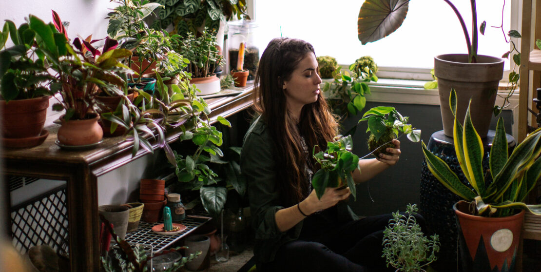 A legzöldebb szobanövények titkai – Így fognak kicsattanni az egészségtől