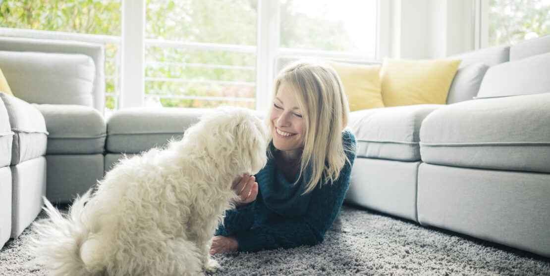 Kutya a lakásban – Hogyan készítsd fel otthonodat az új lakóra?