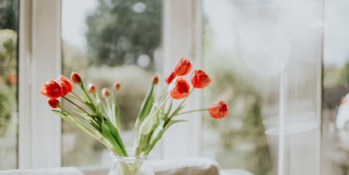 Tulipán-kisokos – Így maradhat sokáig szép a vázában a tavasz legszebb virága