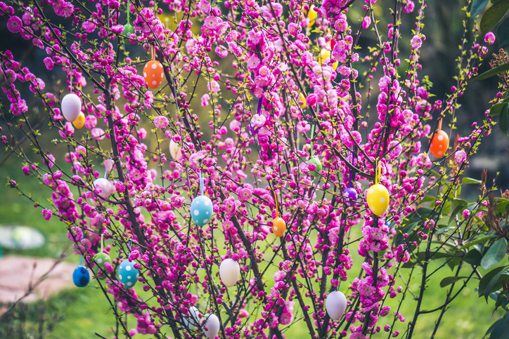 Húsvéti kertdekor – A legjobb ötletek, hogy a Te kerted legyen a legdíszesebb