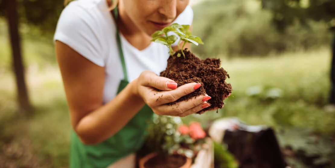 Mutatjuk, mit ültess augusztusban, hogy ne maradjon ki a kertészkedés a nyaradból
