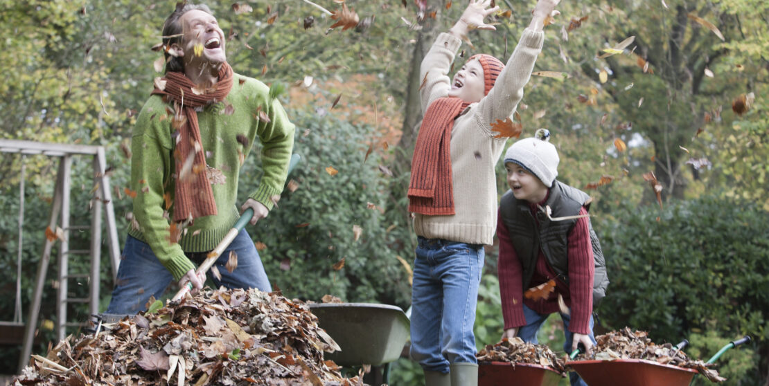Gyepgondozás ősszel – Ezt az 5 teendőt mindenféleképp ütemezd be
