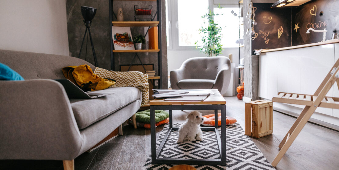 Kis méretű lakás berendezése – Így lesz tágas és hangulatos az otthonod