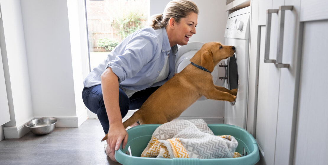 Kutyaszőr a mosógépben? Ezzel a 4 trükkel megszabadulhatsz tőle