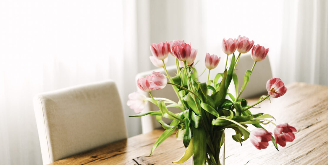 Virágba borult kertek I. – A tulipán gondozása