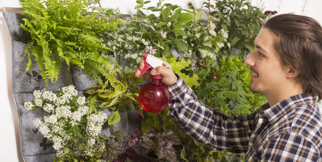 Függőleges kert házilag – Tippjeinknek hála a kicsi kert is lehet igazi oázis
