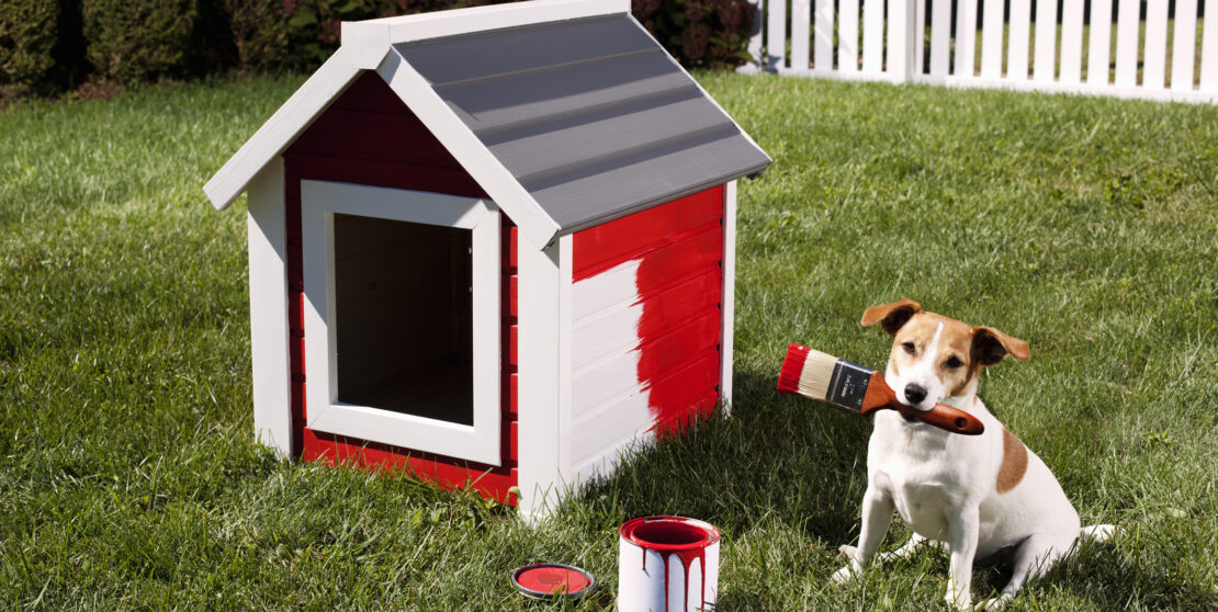 Az Instagram legkreatívabb kutyaházai – Ezeket látnod kell!