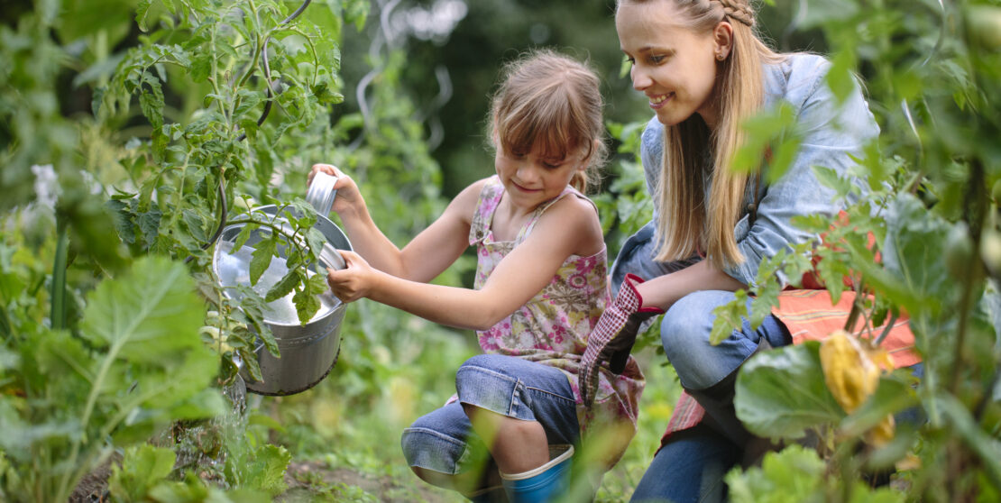 Zöld otthon tippek – A környezetbarát kert és kertészkedés alapjai