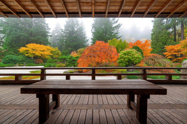 Japánkert ötletek – Így alakítsd ki a nyugalom szigetét az otthonodban