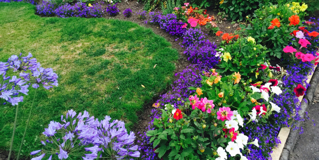 Így készíthetsz dekoratív virágágyást az udvarra!