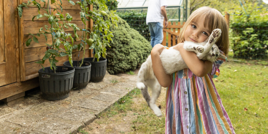 Állatbarát tippek: így tartsd távol az idegen macskákat a kertedtől