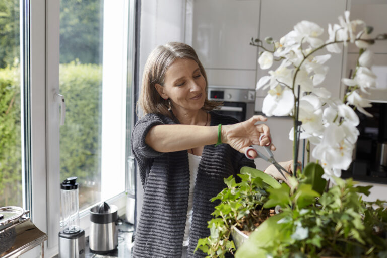 Egészségesebb otthont szeretnél stílusosan? – 5 szobanövény, ami garantáltan javítja otthonod levegőjét