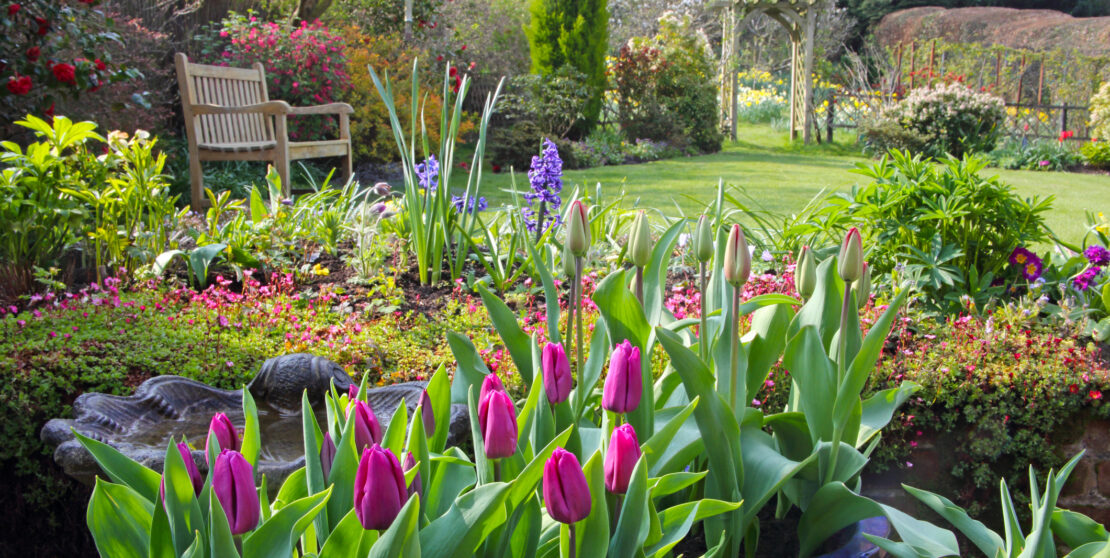 Irány a kert! – Mutatjuk a legfontosabb kora tavaszi teendőket