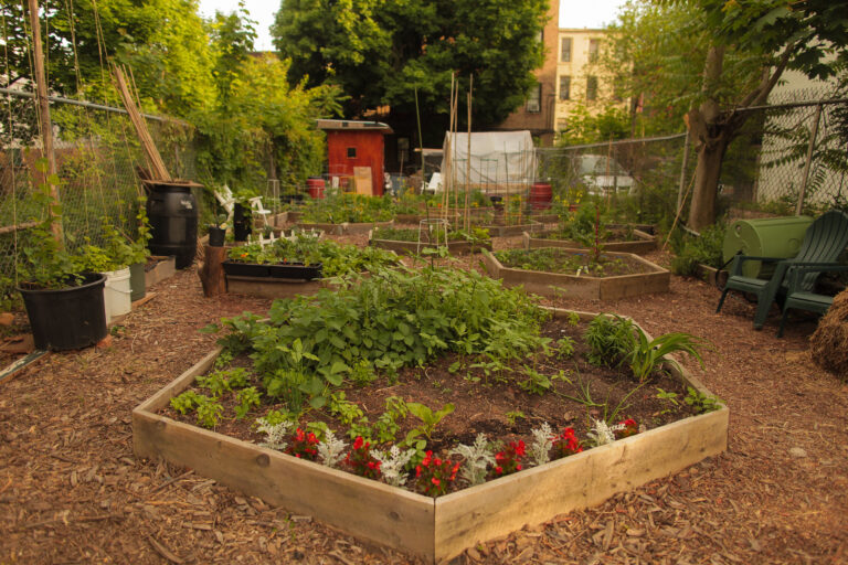 Így lehet neked is permakulturális kerted