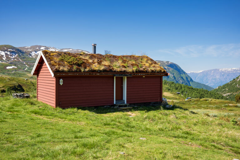 Zöld tetők – Így élhetsz összhangban a természettel?